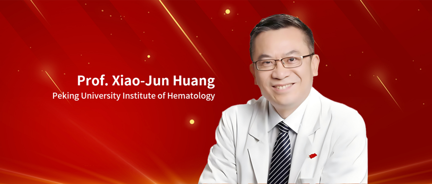 Comparison of Haploidentical Hematopoietic Stem Cell Transplantation with Chemotherapy in Older Adults with Acute Myeloid Leukemia