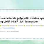 Antimalarial Drugs as Potential Treatment for Polycystic Ovary Syndrome