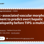Pre-TIPS Assessment of Liver-Related Vascular Morphology Can Predict Overt Hepatic Encephalopathy