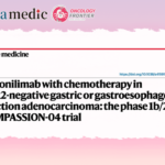 Peking Cancer Hospital Team’s PD-1/CTLA-4 Dual-Target Antibody Combined with Chemotherapy as First-Line Treatment for Advanced Gastric Cancer