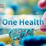 One Health: United Efforts to Combat Resistance丨The Second One Health Antimicrobial Resistance Control Conference Kicks Off in Hangzho
