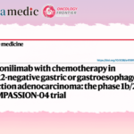Peking Cancer Hospital Team’s PD-1/CTLA-4 Dual-Target Antibody Combined with Chemotherapy as First-Line Treatment for Advanced Gastric Cancer