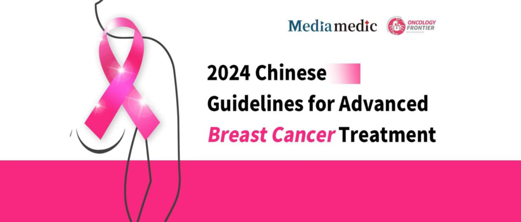 Ten Years of Progress in Standardization: Key Updates to the 2024 Chinese Guidelines for Advanced Breast Cancer Treatment