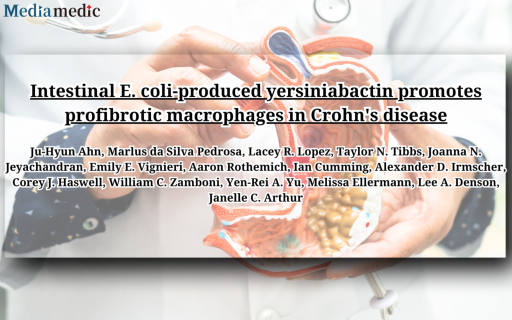 Uncovering a New Pathway in Crohn’s Disease: How Intestinal E. coli-Produced Yersiniabactin Drives Fibrosis