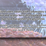 Dysregulated Neutrophil Function in Hospitalized Older Adults with Pneumonia and Sepsis: A New Insight