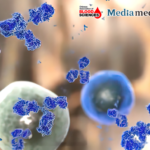 Blood Science Update |Pre-Transplantation KMT2A-PTD Levels Predict Relapse in AML After Haploidentical HSCT