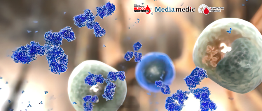 Blood Science Update |Pre-Transplantation KMT2A-PTD Levels Predict Relapse in AML After Haploidentical HSCT