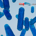 Blood Science Update| MicroRNAs: Discovery, Breakthrough, and Innovation