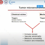 Power of softness in mechano-onco-immunology