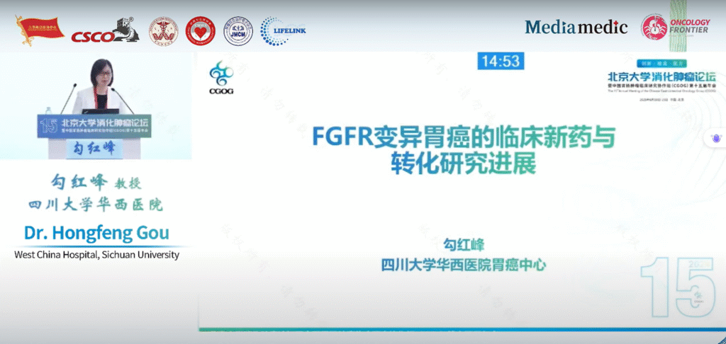 Progress in Clinical New Drugs and Translational Research on FGFR-Altered Gastric Cancer