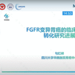 Progress in Clinical New Drugs and Translational Research on FGFR-Altered Gastric Cancer