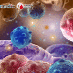 Blood Science Update | Unlocking TRAIL’s Potential in Hematologic Malignancies: Mechanisms, Resistance, and Emerging Therapeutic Strategies
