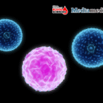 Blood Science Update | A Promising Leap in Treating Large Granular Lymphocytic Leukemia with Thalidomide-Based Therapy