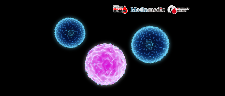 Blood Science Update | A Promising Leap in Treating Large Granular Lymphocytic Leukemia with Thalidomide-Based Therapy