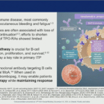 New Breakthrough in Targeting BAFF Pathway: Ianalumab Significantly Prolongs Time to Treatment Failure in ITP Patients — A Detailed Look at VAYHIT 2