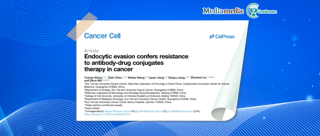 Tumor Cells “Refuse Entry” and Actively Package for Export: Professor Zhuowei Liu’s Team Uncovers a Novel Mechanism of Resistance in Urothelial Carcinoma