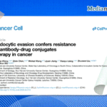Tumor Cells “Refuse Entry” and Actively Package for Export: Professor Zhuowei Liu’s Team Uncovers a Novel Mechanism of Resistance in Urothelial Carcinoma