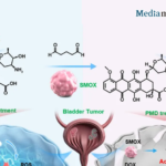 Professor Nengwang Yu’s Team at Qilu Hospital of Shandong University Reports a Novel Strategy to Enhance Bladder Cancer Chemotherapy